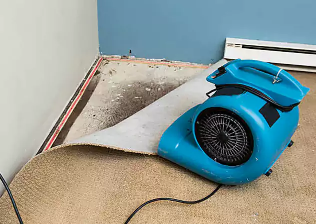 Your Water Damage Experts in Clarkdale, GA
