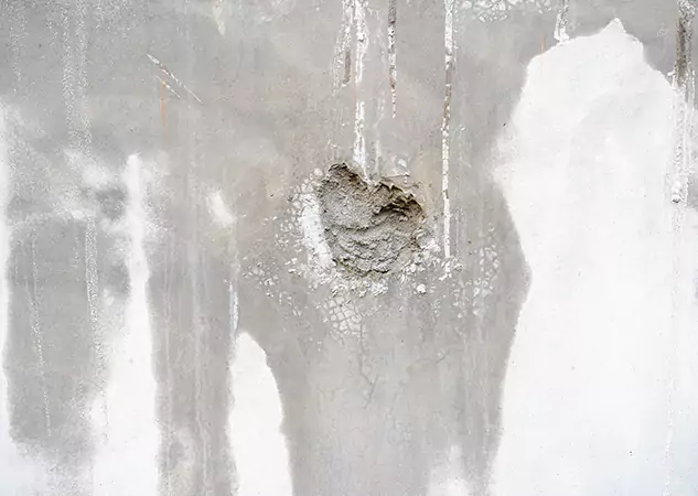 Your Mold Mitigation Solutions Partner in Clarkdale, GA