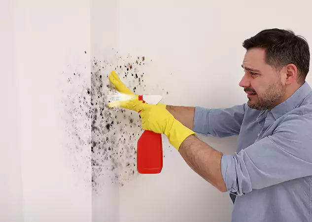 Your Water Mold Fire Restoration Partner in Clarkdale, GA