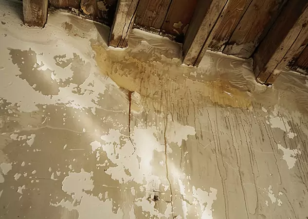 Your Trusted Restoration Company in Clarkdale, GA