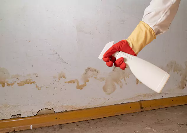 Your Water Restoration and Mold Remediation Specialists in Clarkdale, GA
