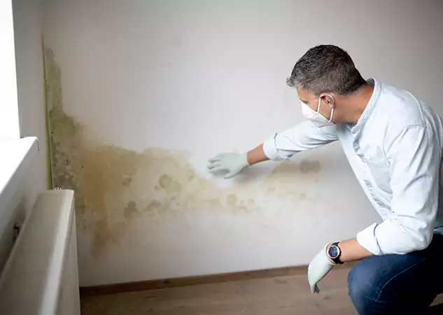 Reach Our Remediation Team Before Damage Grows in Clarkdale, GA!