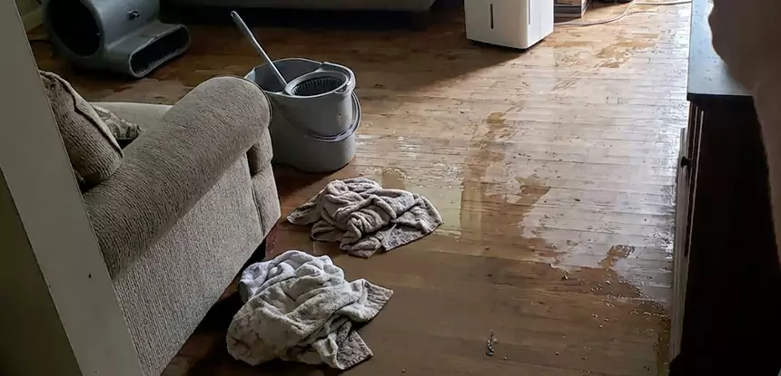 Professional Basement Water Remediation Services in Clarkdale, GA