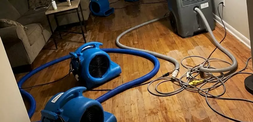 Basement Flood Restoration Services in Clarkdale