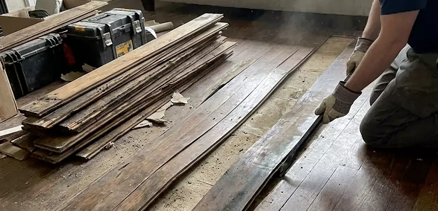 Wood Rot and Fungus Repair in Clarkdale