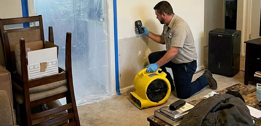 Carpet Water Damage Repair Clarkdale