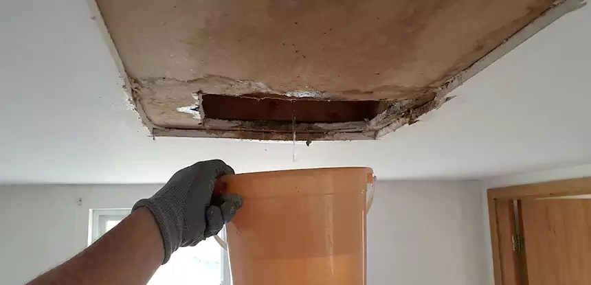Ceiling Mold Repair Clarkdale