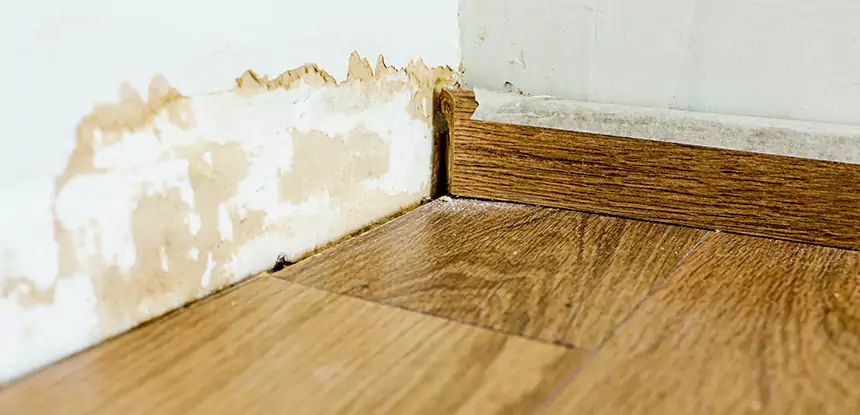 Professional Fix Water Damaged Wood Services in Clarkdale, GA