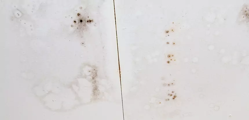 Professional Water Stain Repair Services in Clarkdale, GA