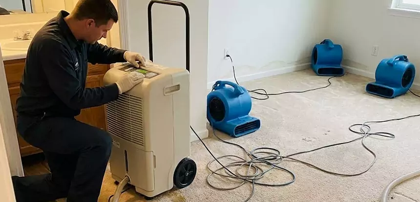 Professional Wet Carpet Removal Services in Clarkdale, GA