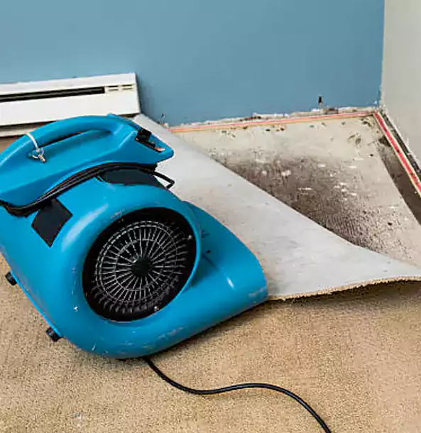 Why Clarkdale Trusts Clarkdale Restoration Pro for Carpet Flood Recovery?