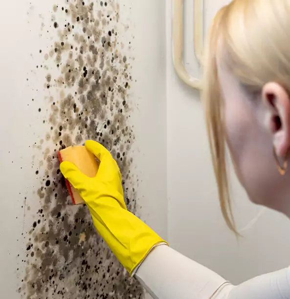 Why Clarkdale Restoration Pro Leads Mold Remediation in Clarkdale?