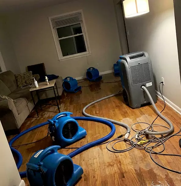 Why Clarkdale Property Owners Rely on Clarkdale Restoration Pro for Remediation?