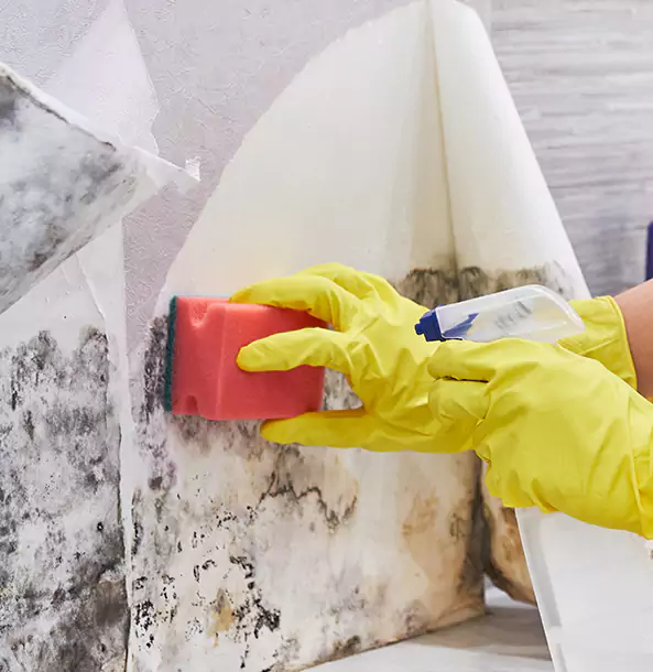 Why Clarkdale Trusts Clarkdale Restoration Pro for Mold and Water Restoration?