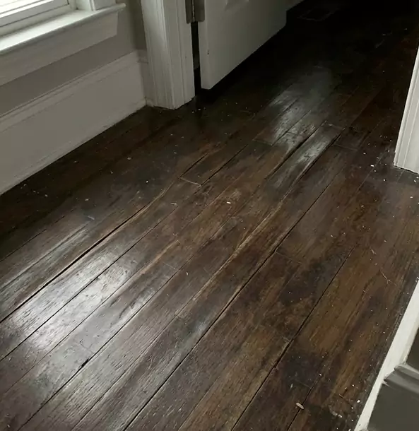 Why Clarkdale Homeowners Trust Clarkdale Restoration Pro to Fix Water Damaged Wood?