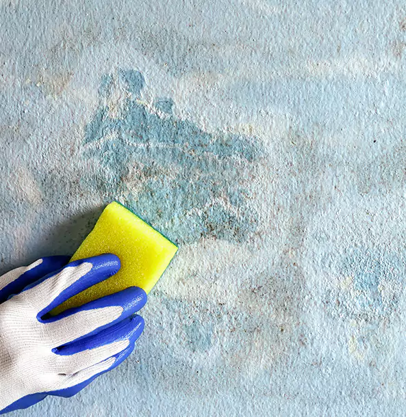 Why Clarkdale Restoration Pro Is the Right Choice in Clarkdale, GA?