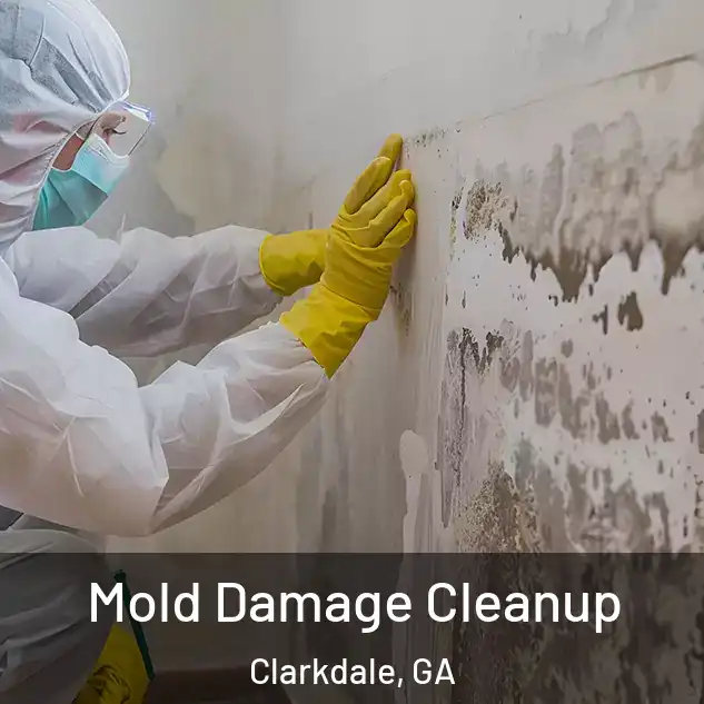  Mold Damage Cleanup Clarkdale, GA