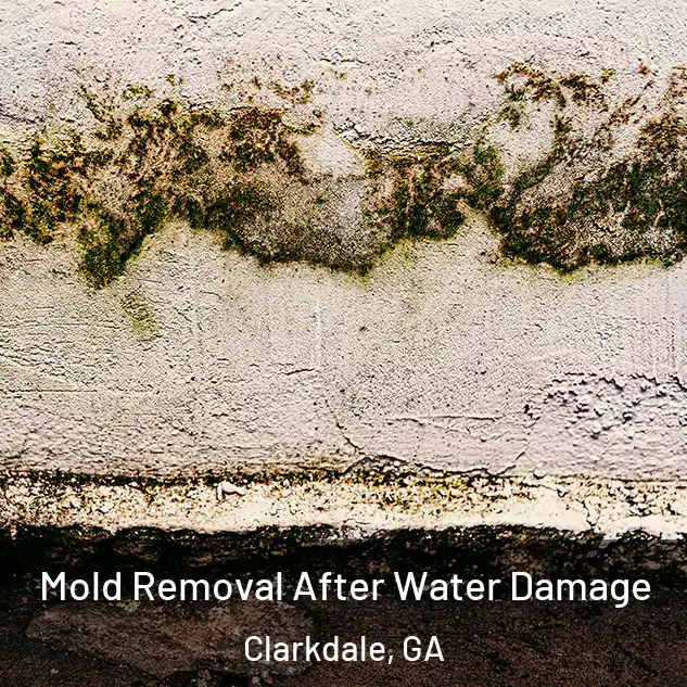  Mold Removal After Water Damage Clarkdale, GA
