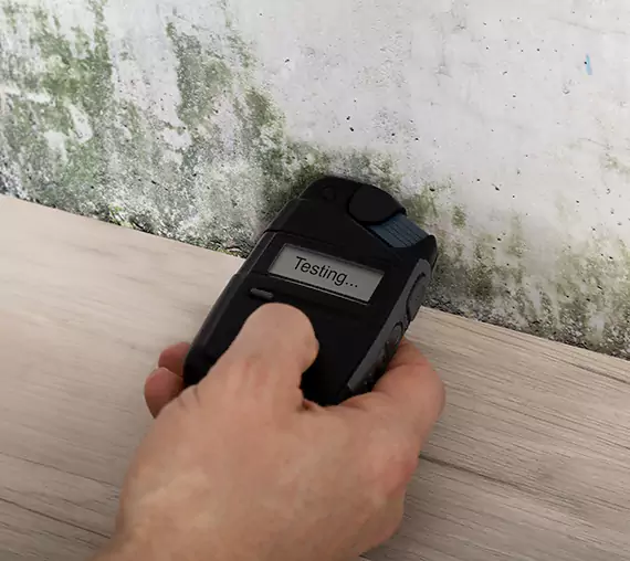 Mold Remediation Service Clarkdale