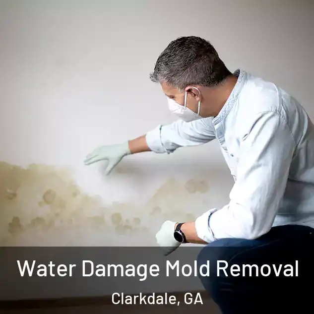  Water Damage Mold Removal Clarkdale, GA