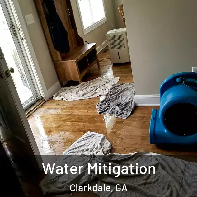 Water Mitigation Clarkdale, GA